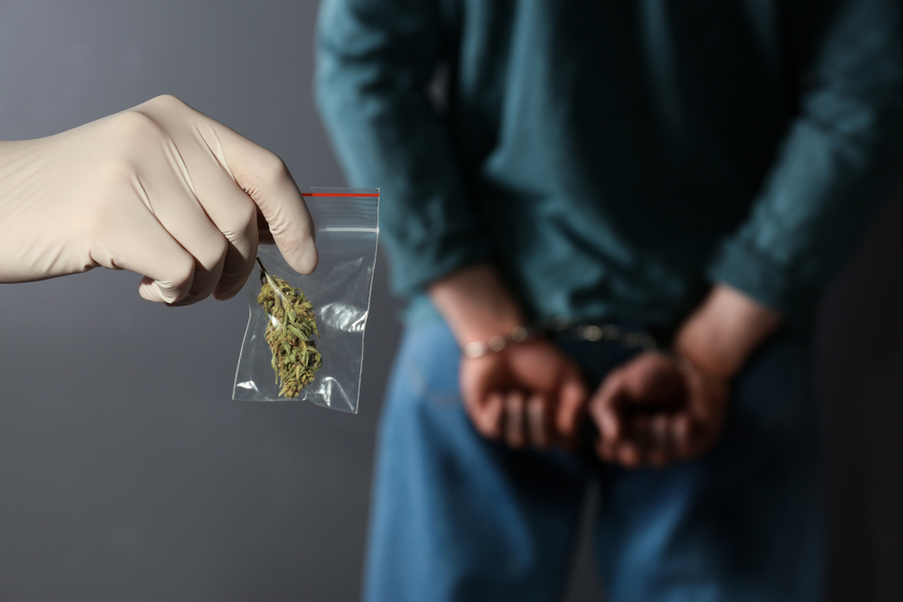 Can a bail bond be revoked on a marijuana case